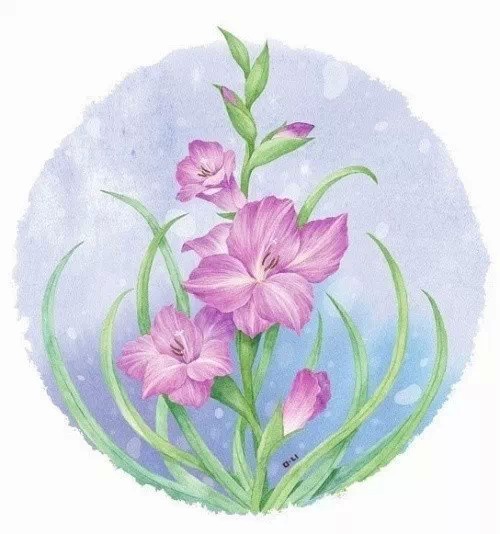 静谰璎语