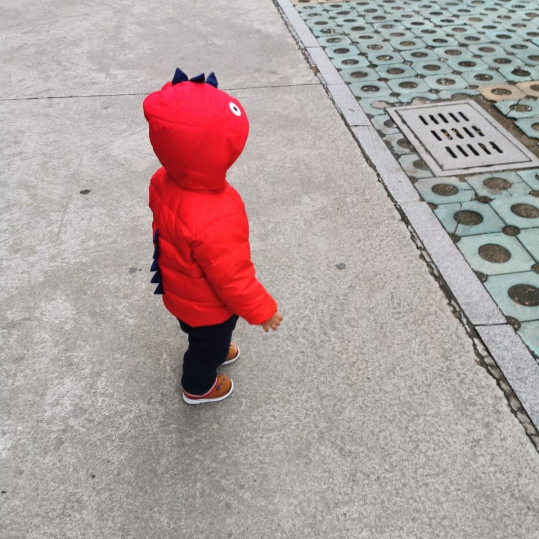 入畫