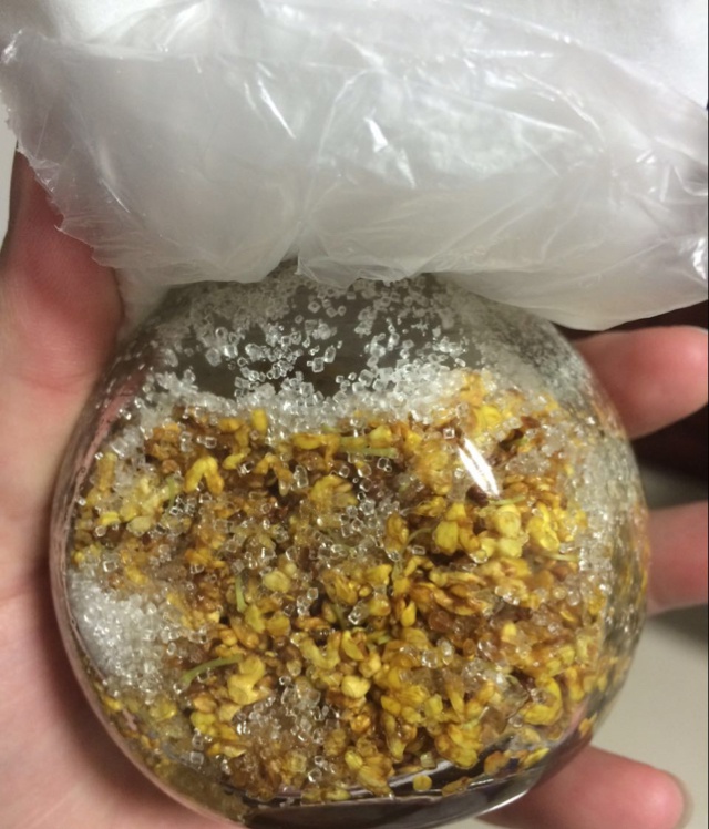糖桂花