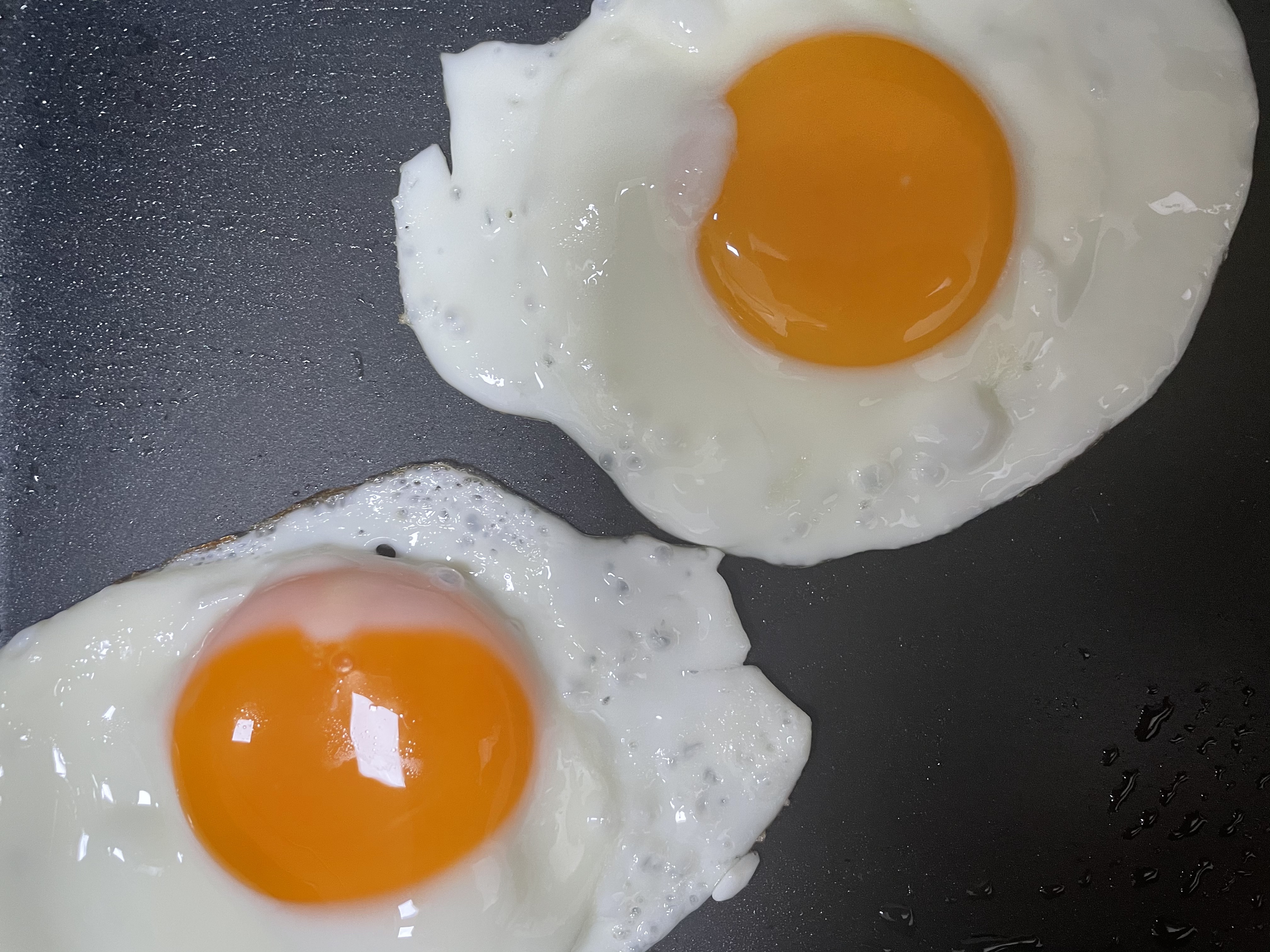 快手又营养的金枪鱼肉松海苔拌饭的做法 步骤3