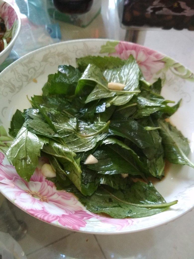 凉拌薄荷