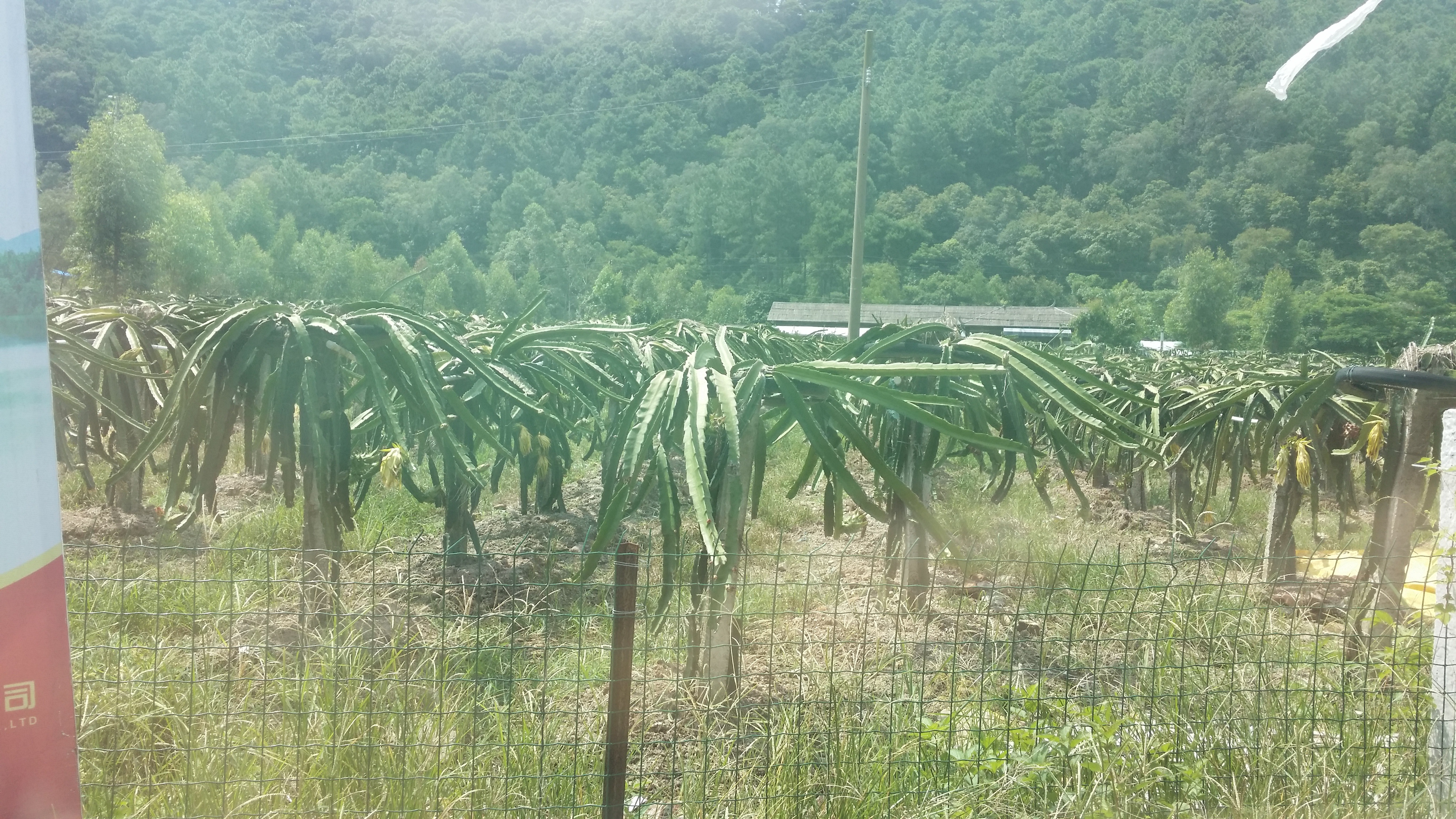 讓āì隨緣