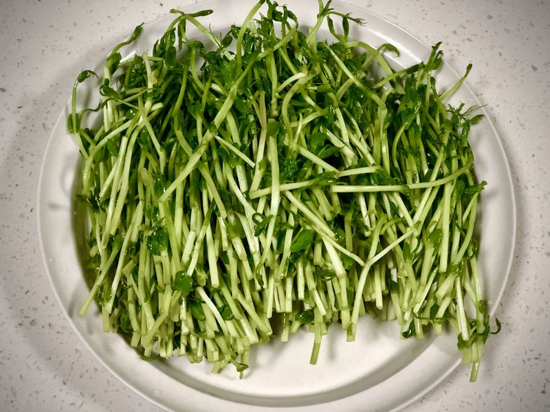 步骤图 凉拌豌豆苗的做法 凉拌豌豆苗的做法步骤 素菜 下厨房 步骤图 凉拌豌豆苗的做法 凉拌豌豆苗的做法步骤 素菜 下厨房