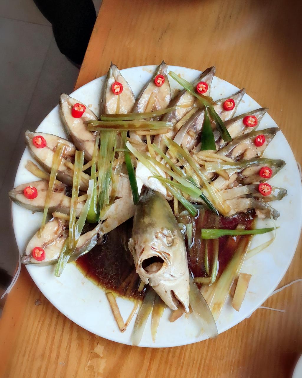 孔雀开屏鱼