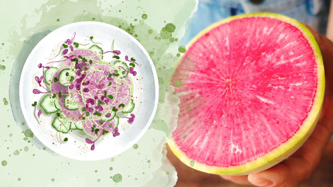 红心萝卜黄瓜沙拉