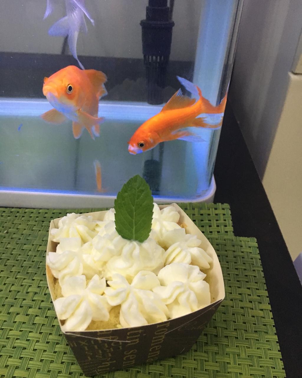 戚风纸杯奶油蛋糕