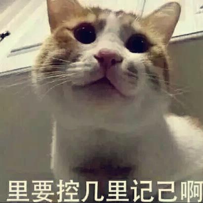 维C甜橙