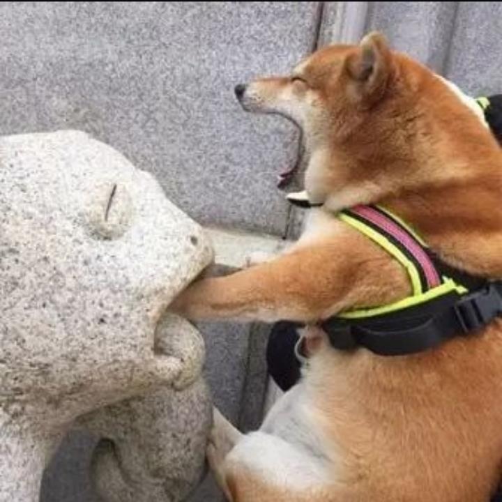 一水淡如油