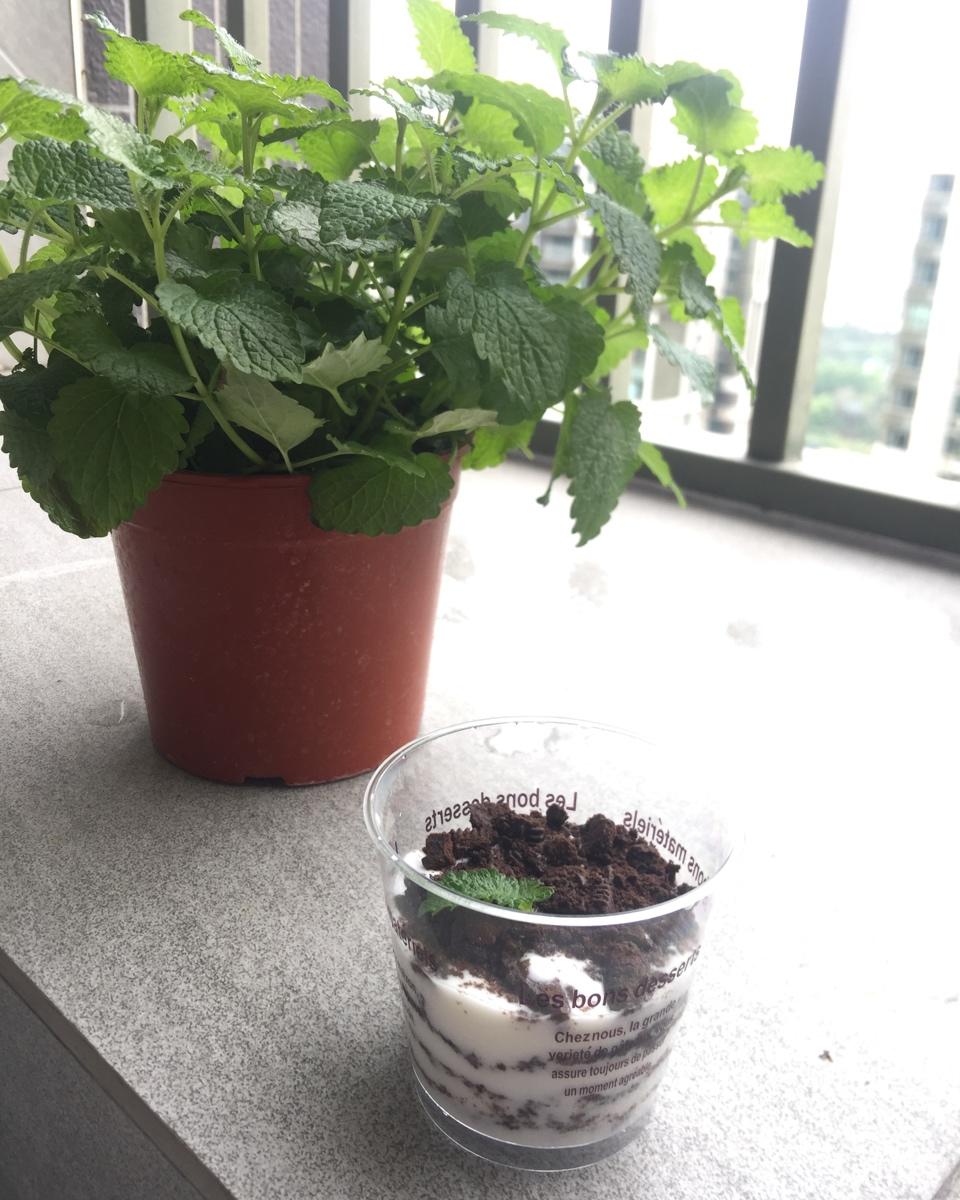 酸奶奥利奥碎木糠杯
