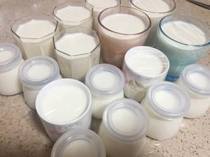 家庭自制酸奶的做法 步骤3