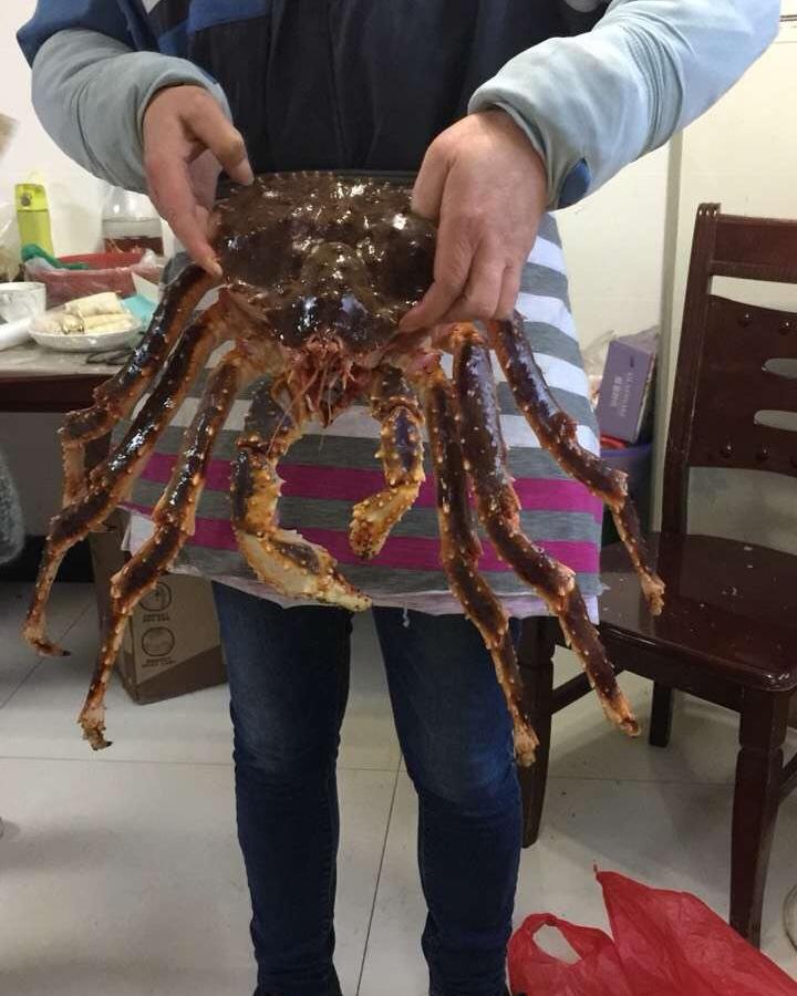 清蒸帝王蟹