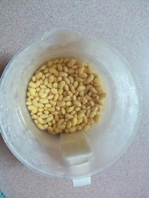 自发豆芽(方便、易做的绿色食品)的做法 步骤1