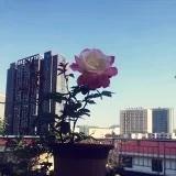 炫妈的美好时光