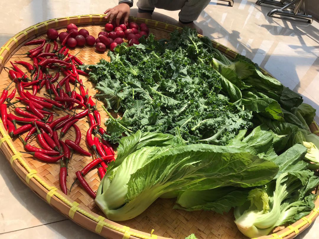 老祖宗的腌制酸菜方法（酸菜做法）