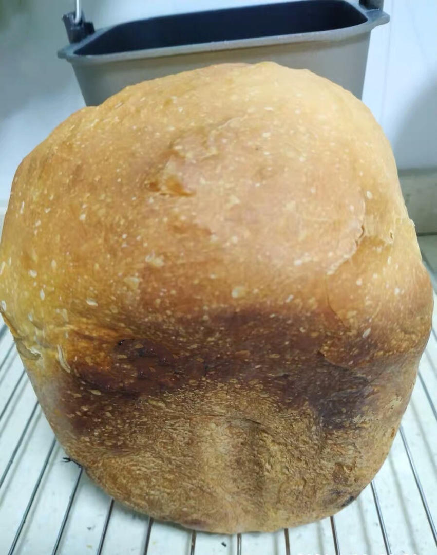 藜麦全麦吐司 | 松下面包机SD-PY100