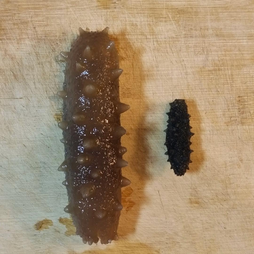 泡发海参的方法