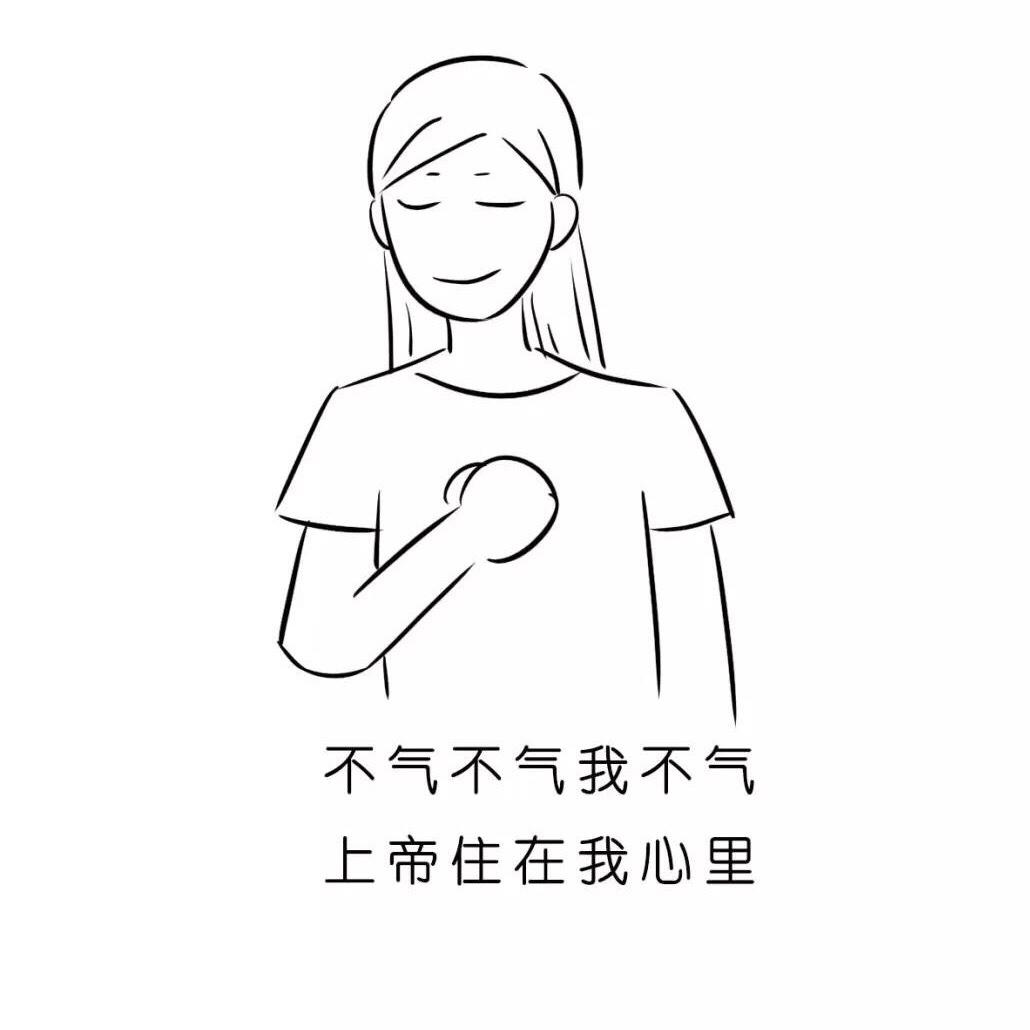 金大厨-
