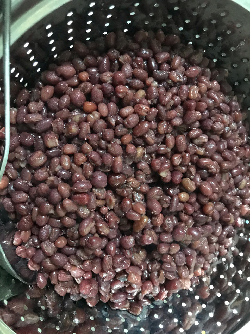 绵软香糯/颗颗饱满 港式蜜红豆（专业版   免泡）