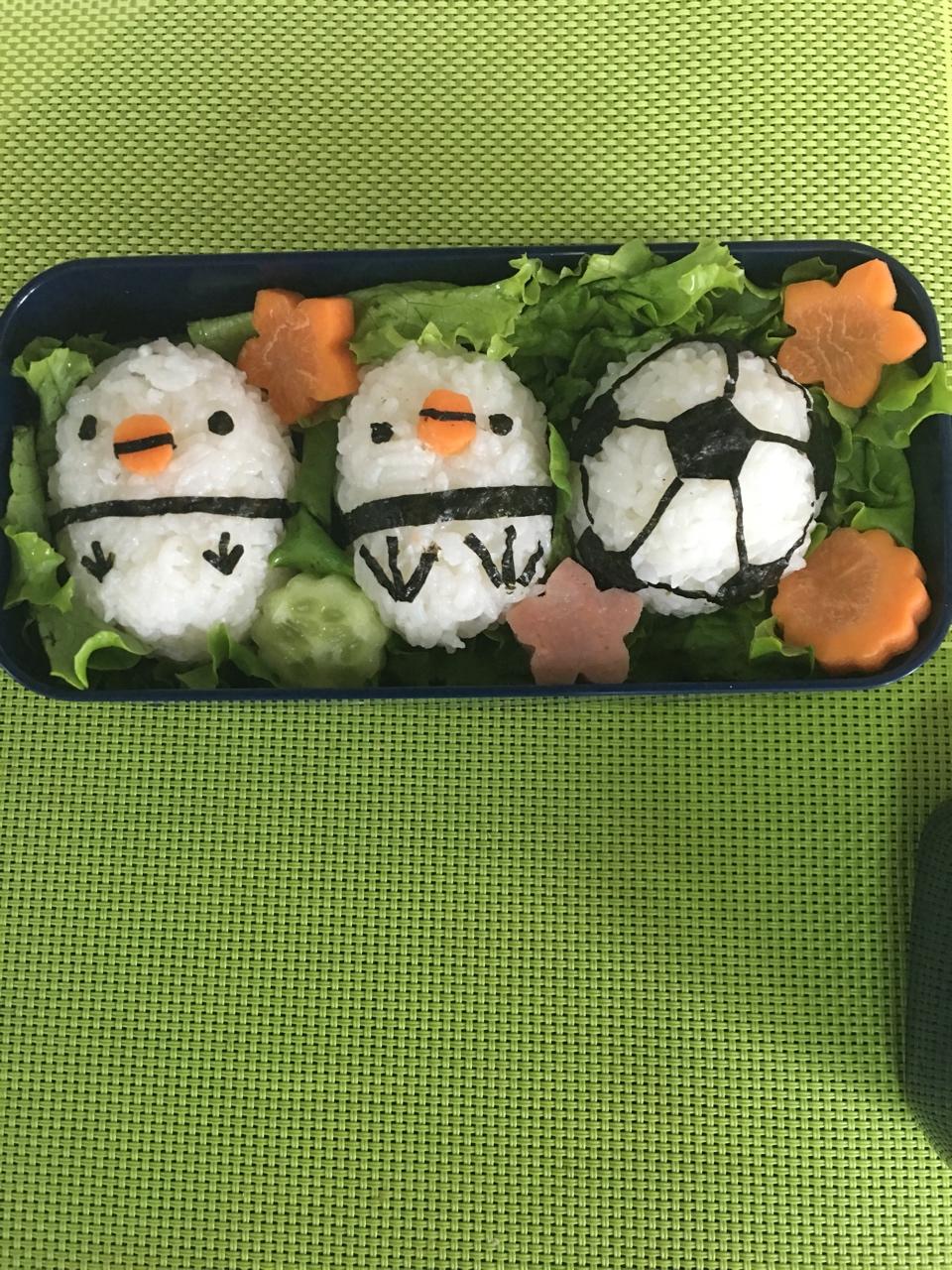 小鸡饭团