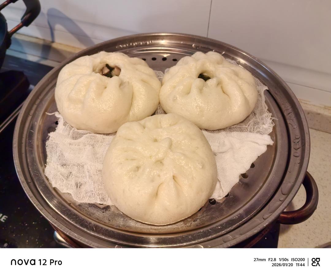午餐•2026年1月20日