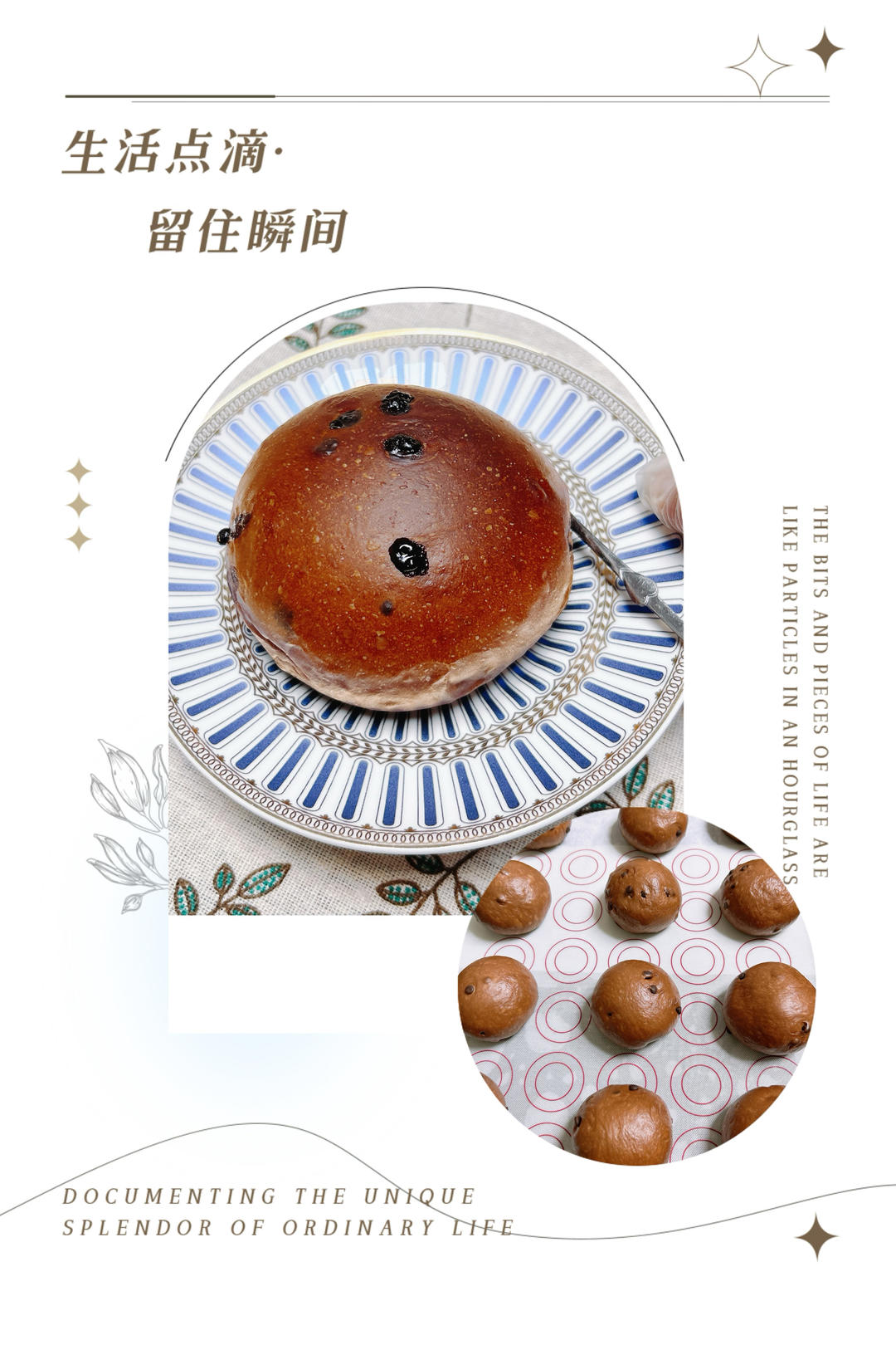 豪华版黑眼豆豆