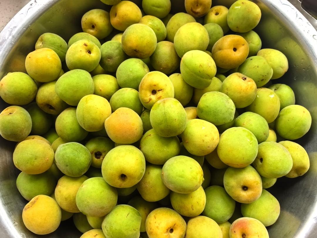 【青梅酒】梅子的沉醉时光（已填坑）