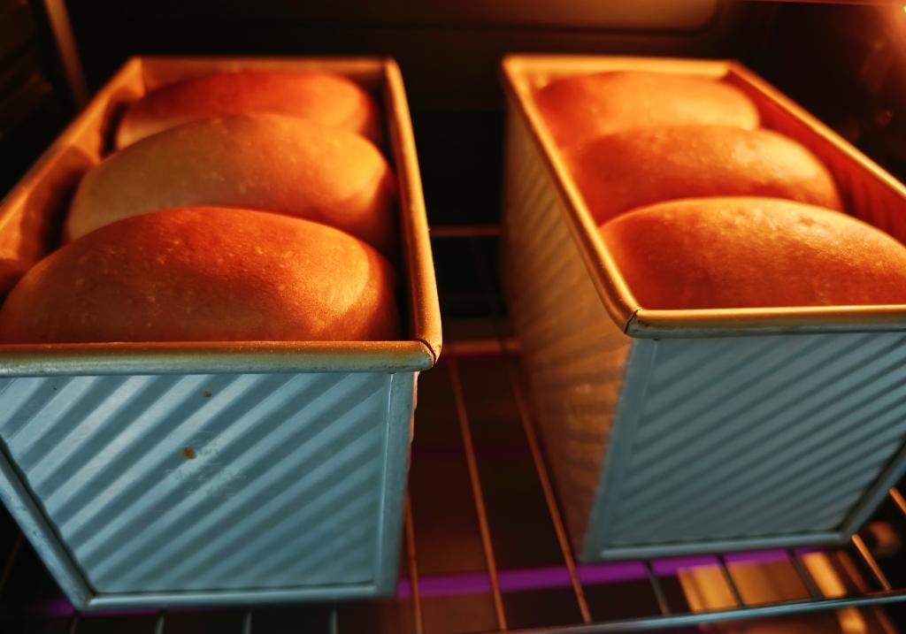 宅家做吐司面包超治愈🍞隔夜水合法快速出膜