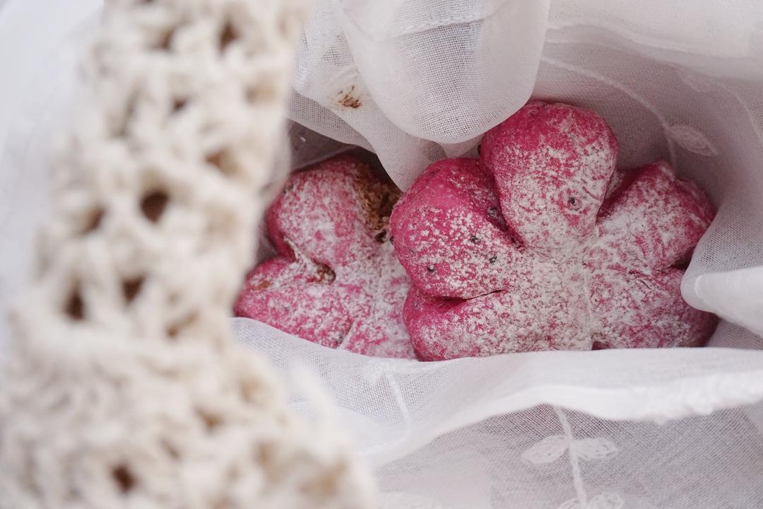 💕少女心biu biu biu 💕 肉松馅的火龙果面包