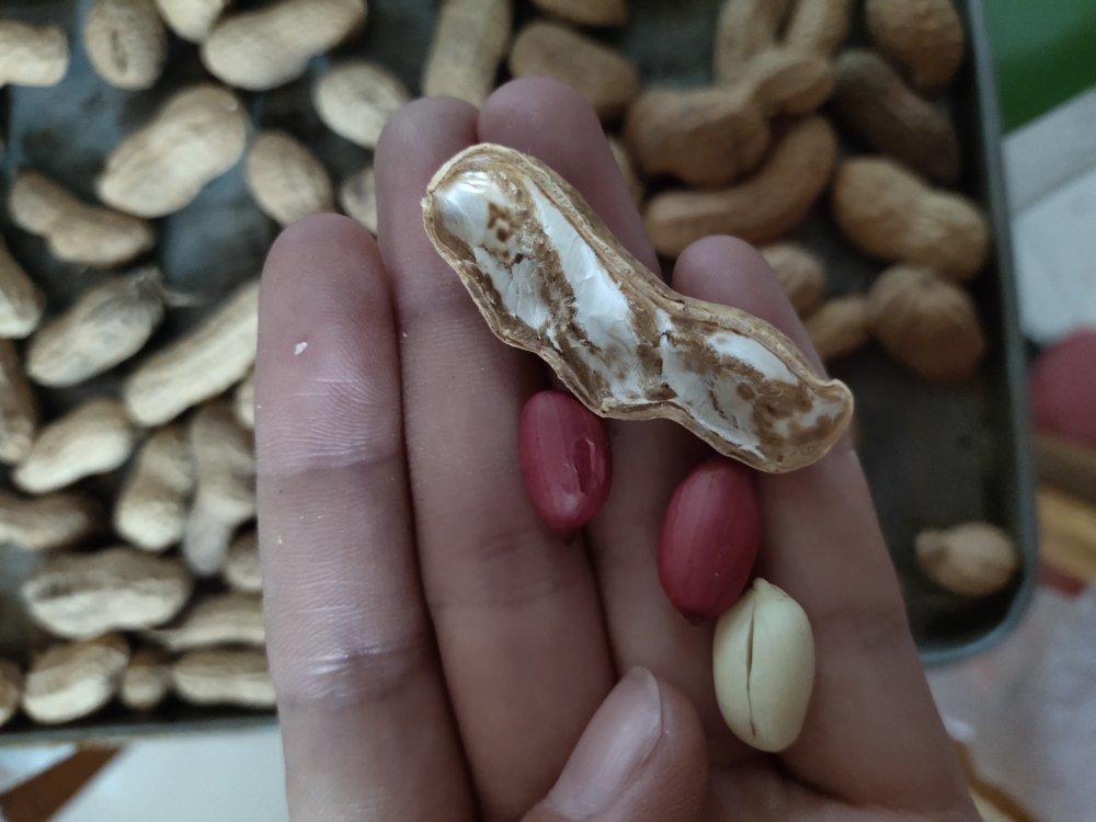 香脆烤花生，给新年添一点小小的美味。