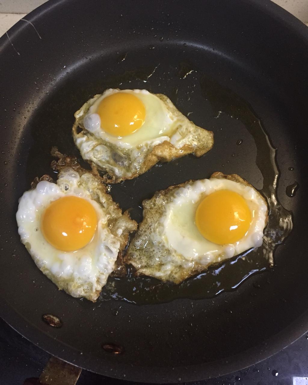 猫猫就是懒做的糖醋荷包蛋