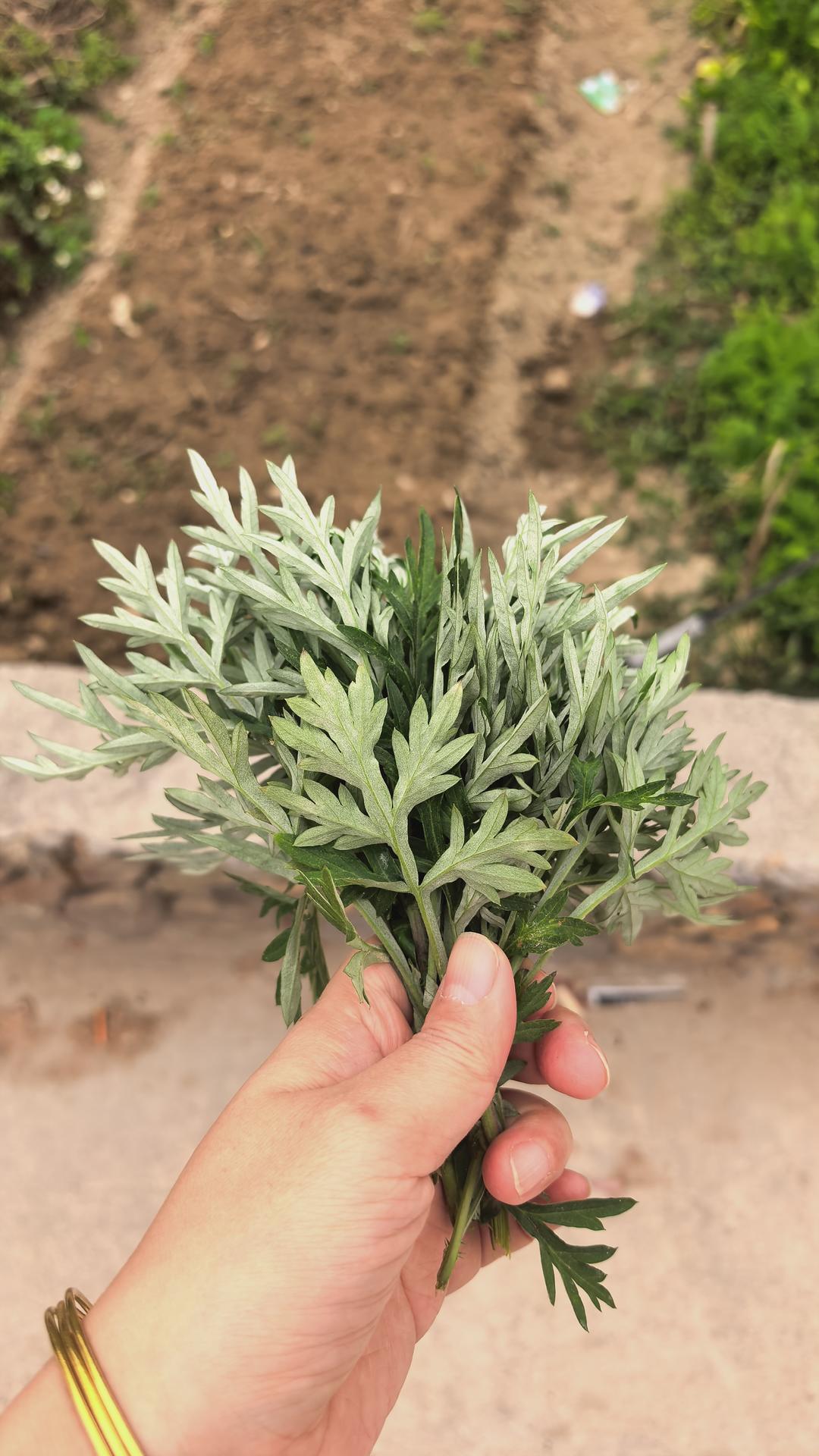 清明必吃的艾草青团