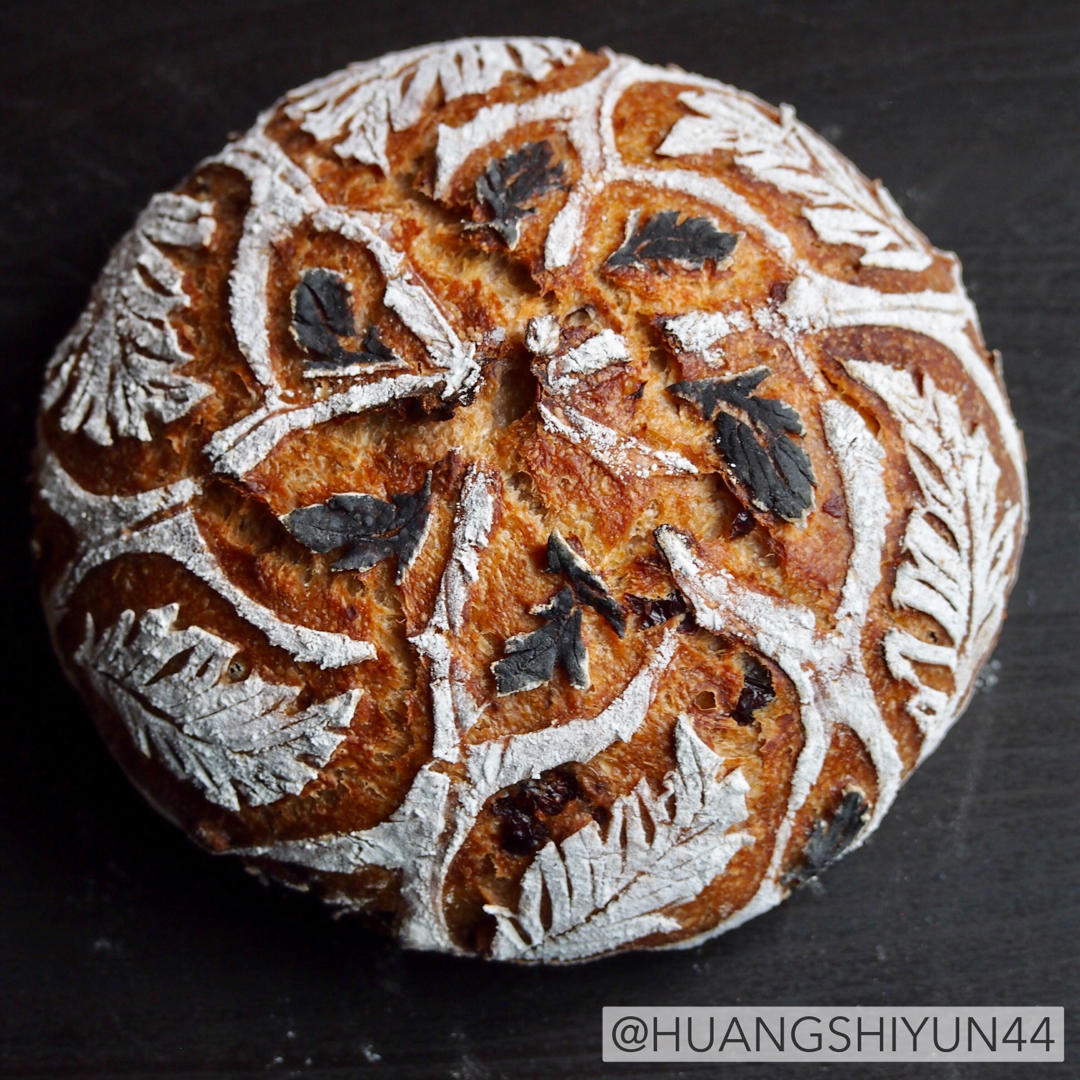 我的欧包学习和割包记录