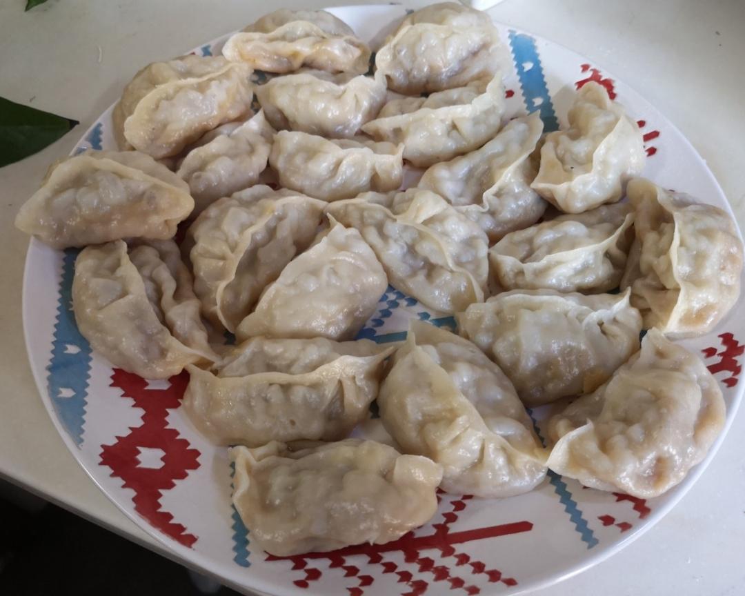 不压水不出水冬瓜猪肉蒸饺