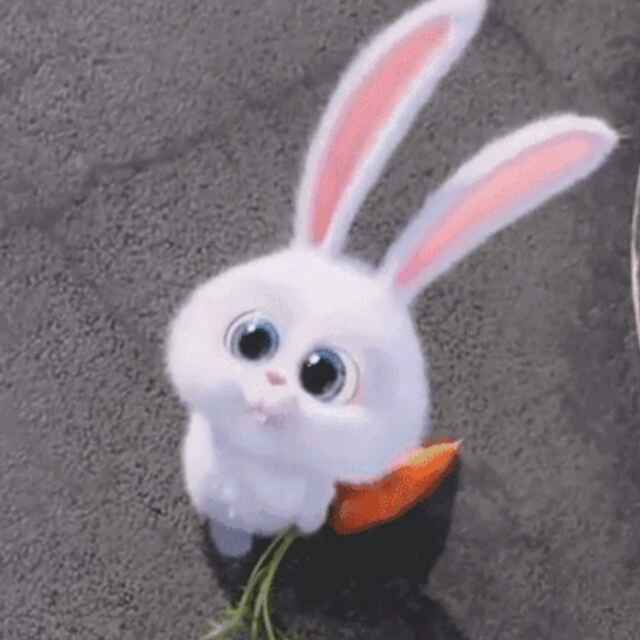这吖头脾气拽_x2o9