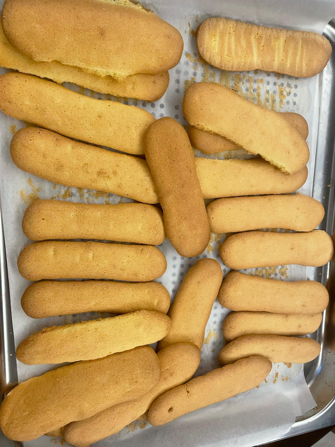 手指饼干-提拉米苏