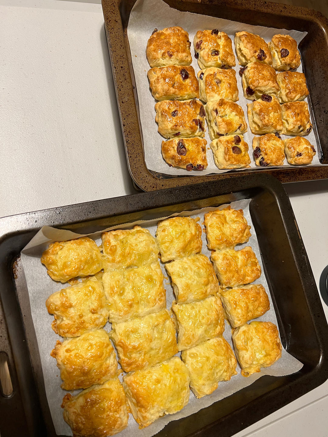 咸香奶酪司康 🧀️芝士满满 零失败