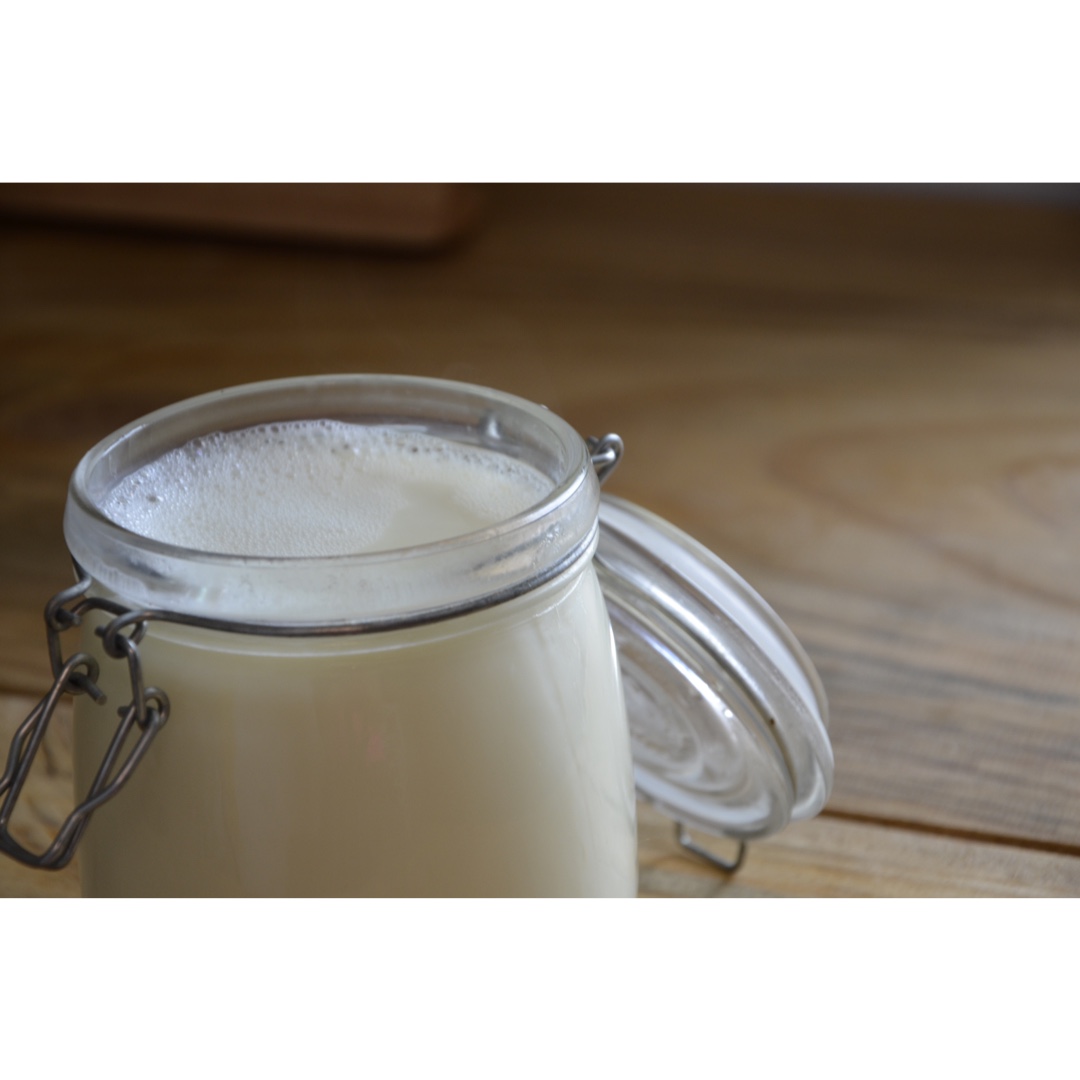 【奶类食验】几乎无豆味的豆奶No Bean Flavor Soy Milk