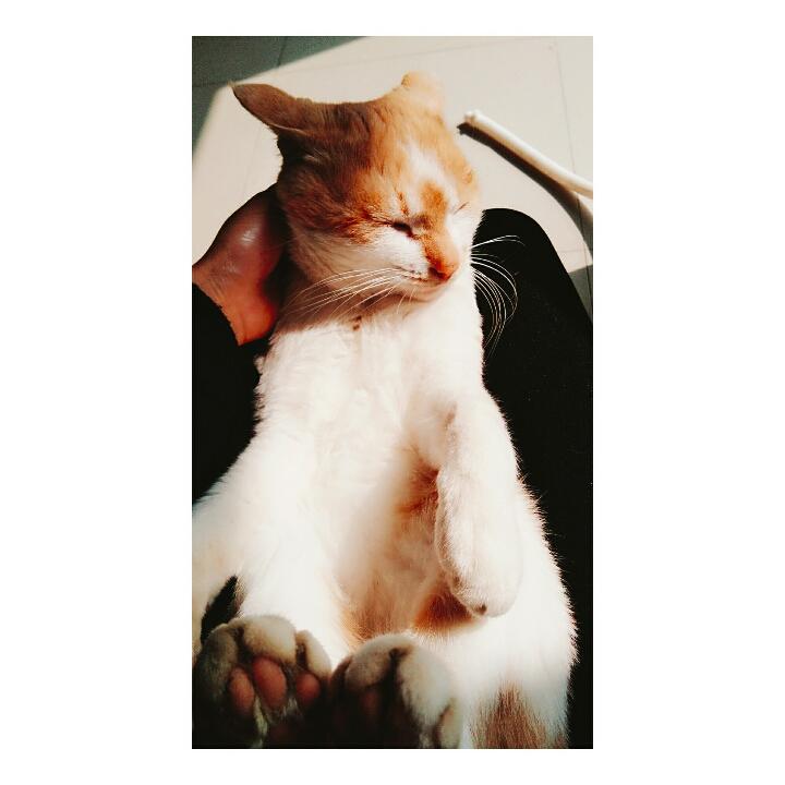 若珩
