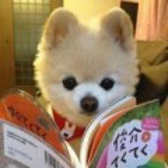 手机用户2722_qhwv