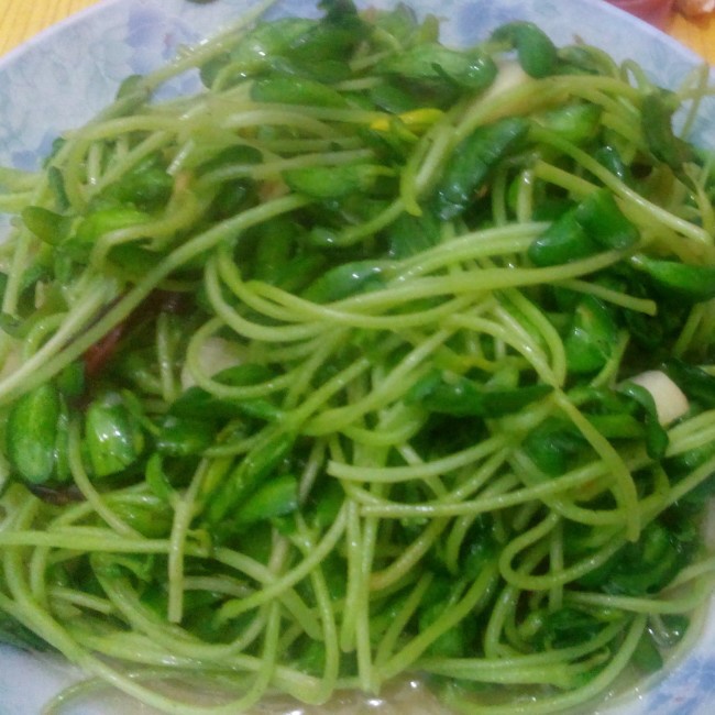 呛口麻辣黑豆苗