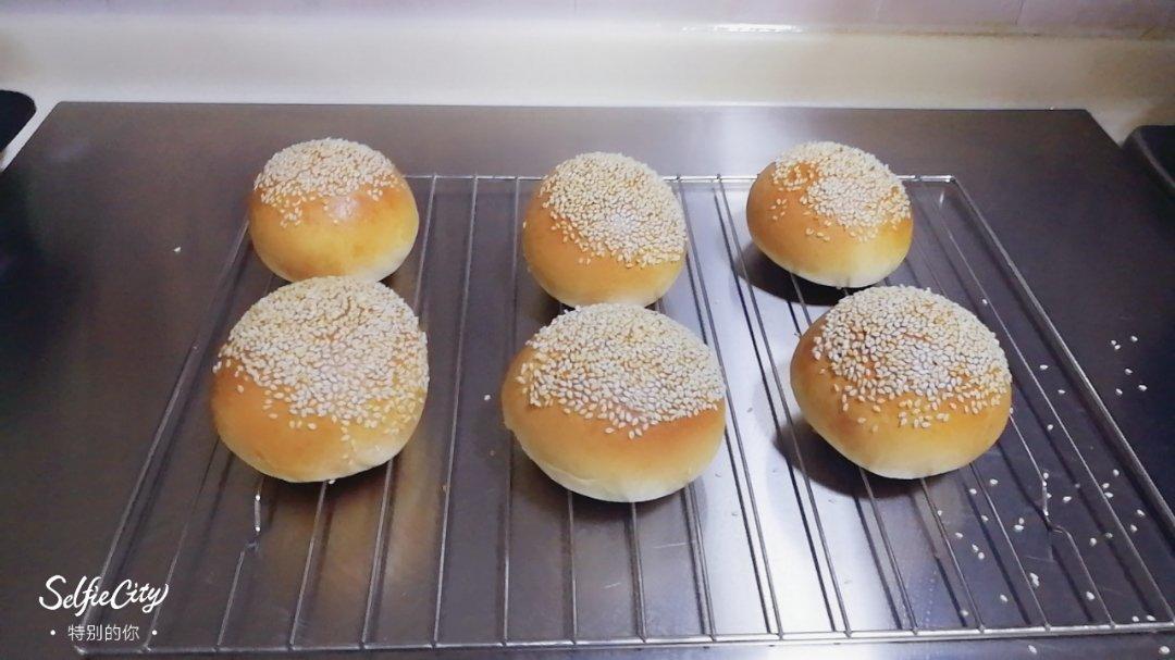 汉堡胚 poolish（波兰种）