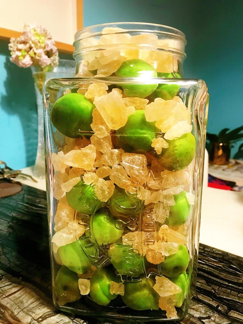 【青梅酒】梅子的沉醉时光（已填坑）