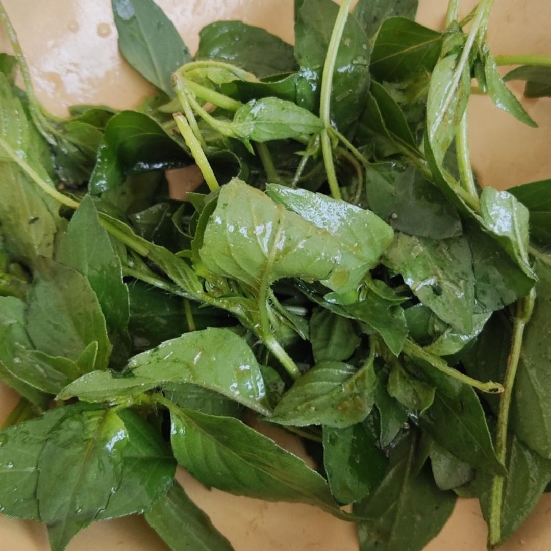 凉拌荆芥