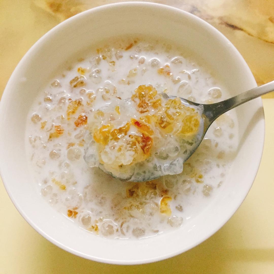 elisebb做的桃胶牛奶西米露