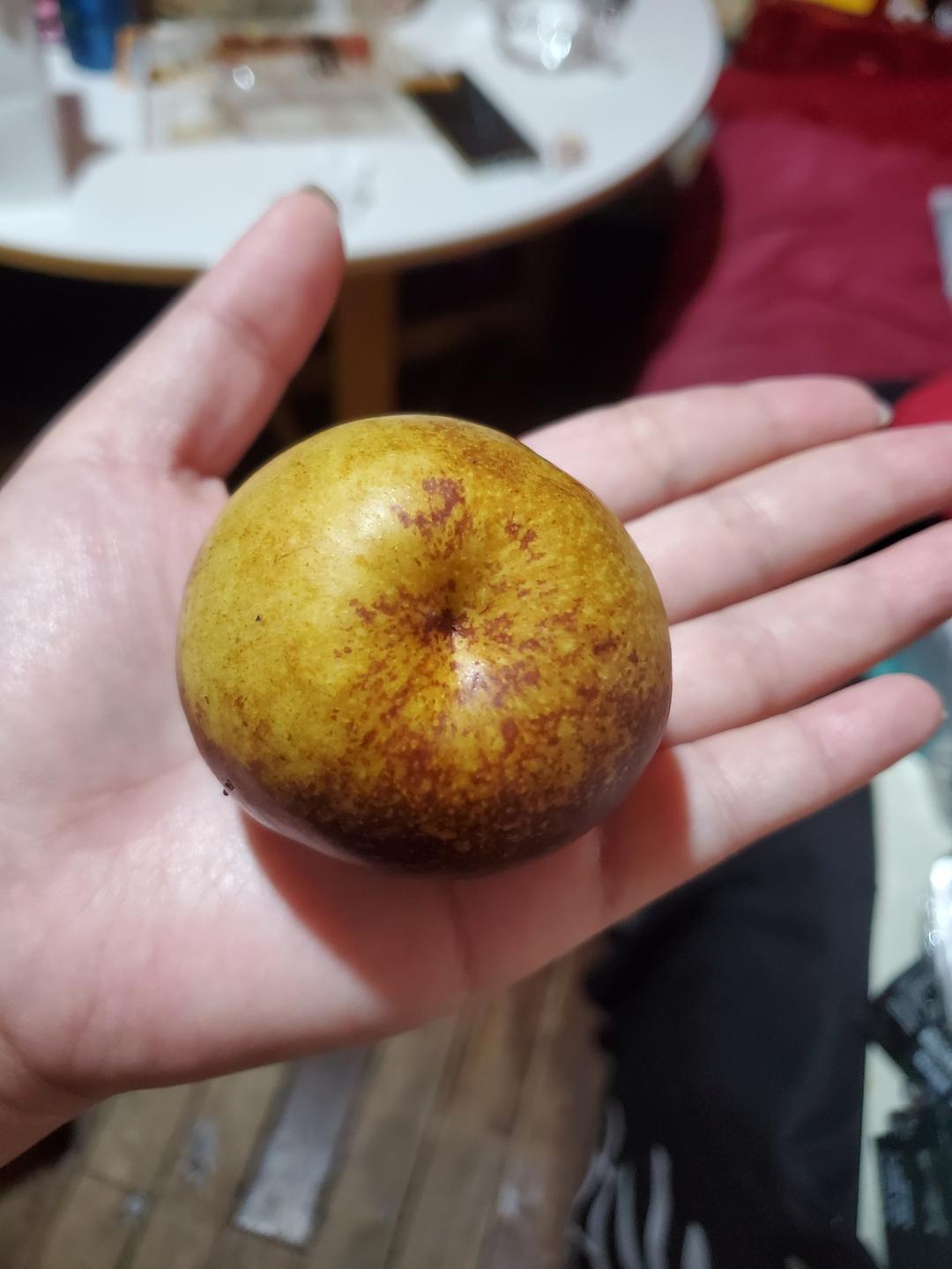 爱尝鲜的蔬果宇宙