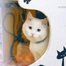 鱼子酱-07