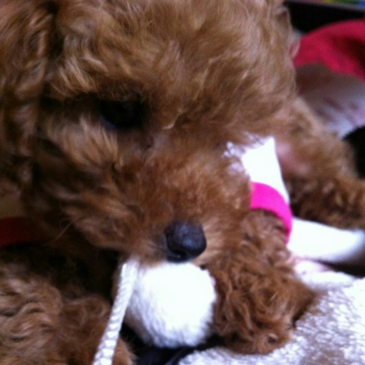 ❤❤❤          欣妈丶