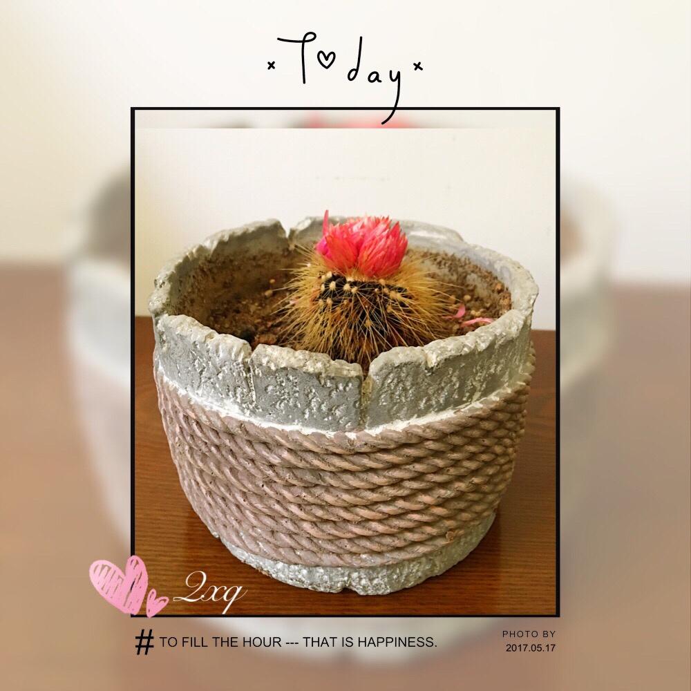 一个人的静时光