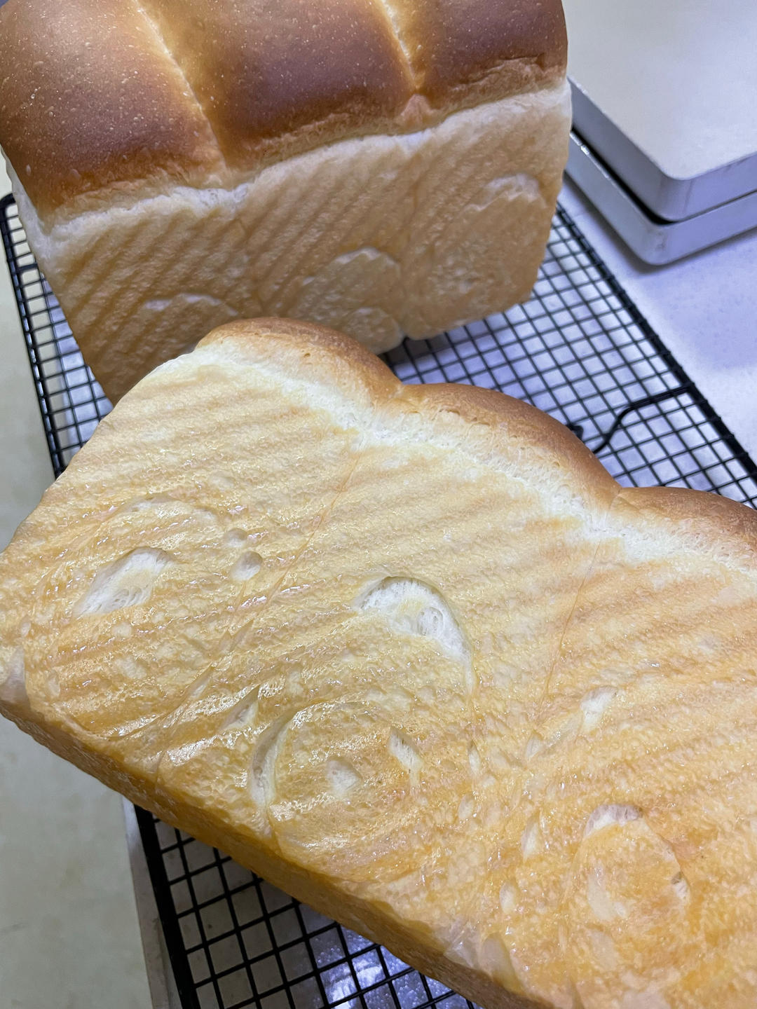 日本生吐司（宵种）