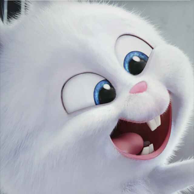 弓丿l贝
